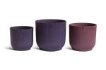 GIFT winery collection 14,16,18 multicolore